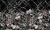 Art. 35074100