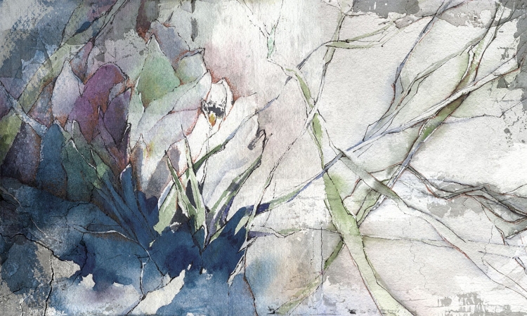 Art. 35 0769 03