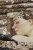 Fototapeta ścienna Art Nouveau z postacią śpiącej kobiety Serenity tapeta ścienna na fizelinie