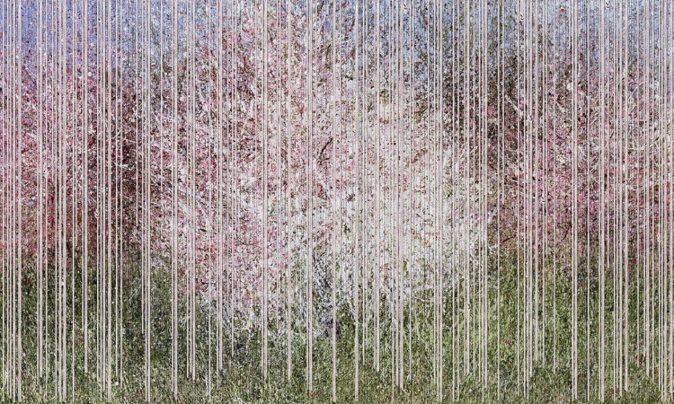 Kwitnące drzewa wiśni Bloom wiosenna tapeta ścienna na fizelinie w kwiaty