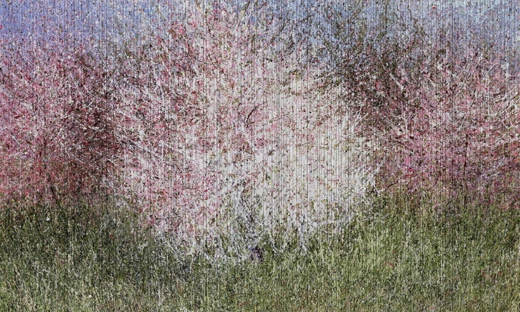 Kwitnące drzewa wiśni Bloom wiosenna tapeta ścienna na fizelinie w kwiaty