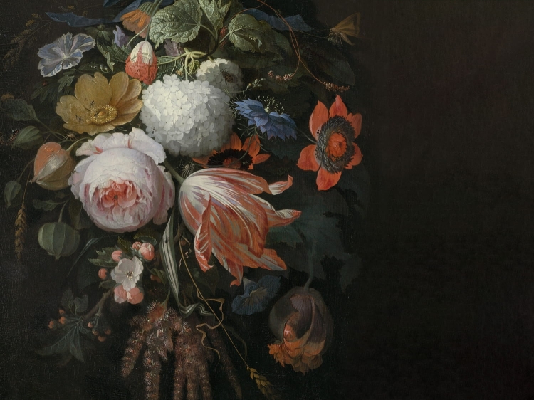 Boudoir Wall Art fototapeta fizelinowa w kwiaty glamour