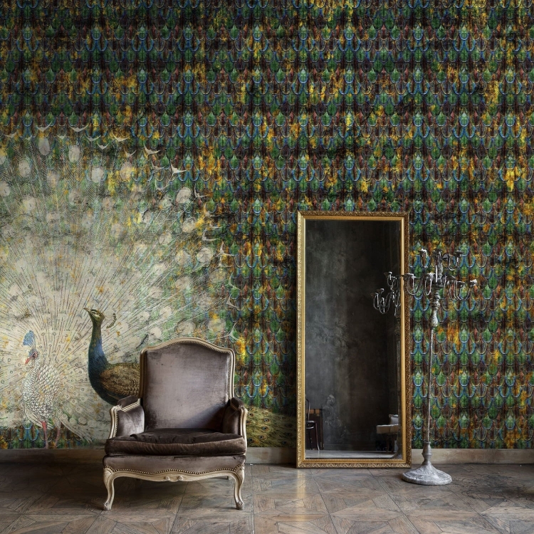 Peacock Wall Art Pawie fototapeta na wymiar indywidualny w pawie pióra glamour