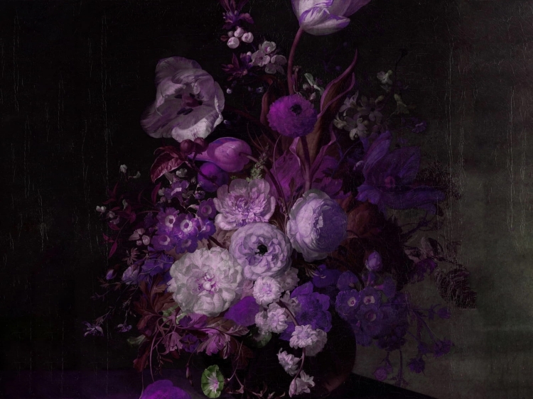 Violet Dream fioletowe kwiaty na ciemnym tle Wall Art fototapeta na wymiar indywidualny