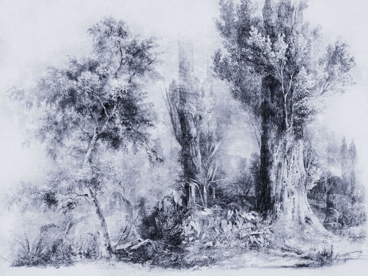 Calm Blue Wall Art fototapeta na wymiar indywidualny - szkicowane drzewa niebieskie