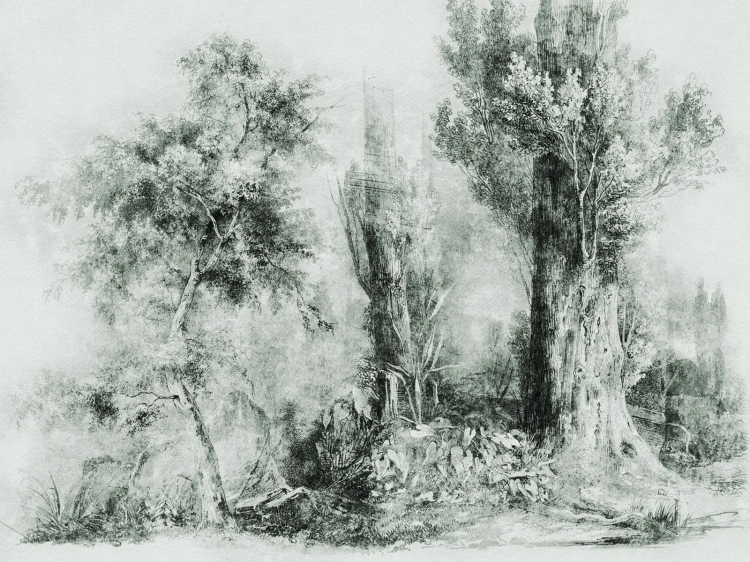 Calm Green Wall Art fototapeta na wymiar indywidualny - szkicowane drzewa zielone