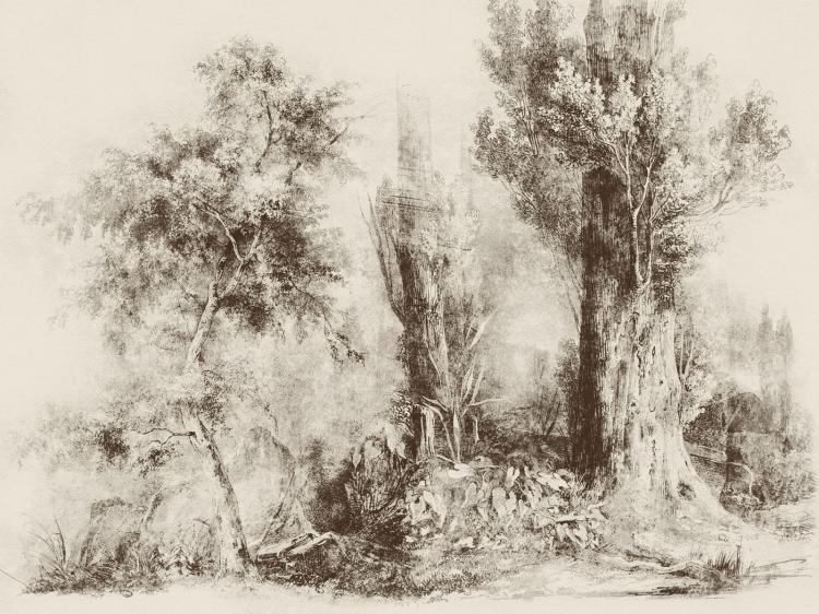 Calm Beige Wall Art fototapeta na wymiar indywidualny - szkicowane drzewa beżowe