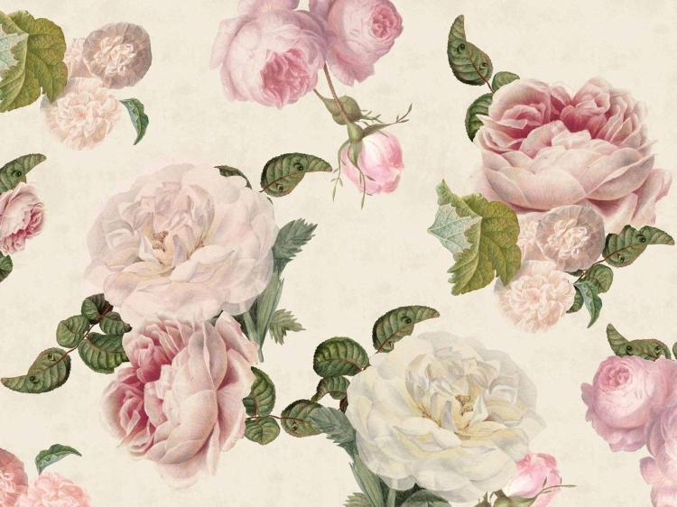 Roses Cream subtelna fototapeta w kwiaty do pokoju dziecięcego lub salonu - na wymiar