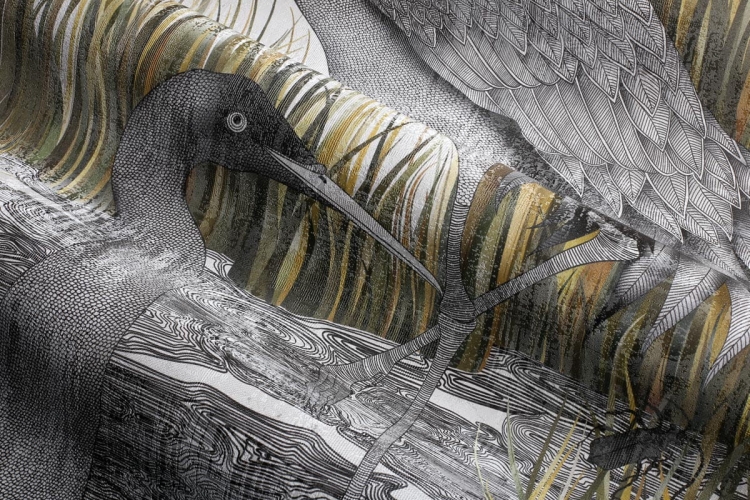 Lago dzikie ptaki w szuwarach Wonderwall fototapeta na fizelinie na wymiar