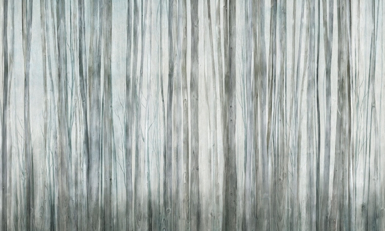 Art. 35 0794 17