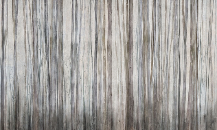 Art. 35 0794 18