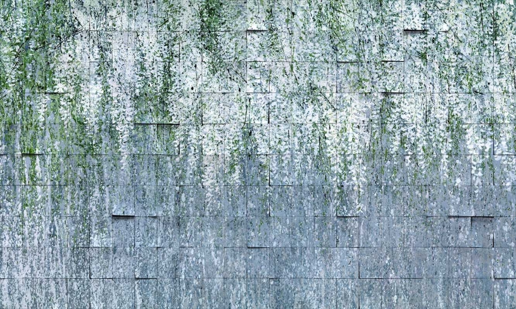 Art. 35 0795 03
