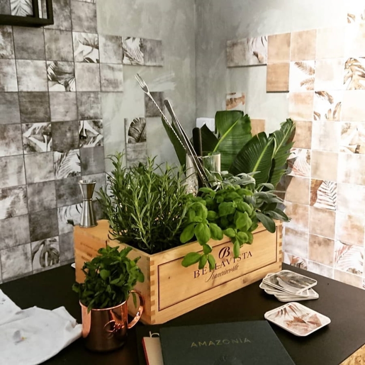 ZYX Amazonia Tropic Cotto