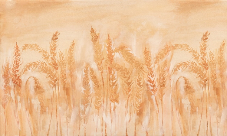 Złote kłosy pole zbóża sielankowa fototapeta boho winyl na flizelinie - wymiar indywidualny