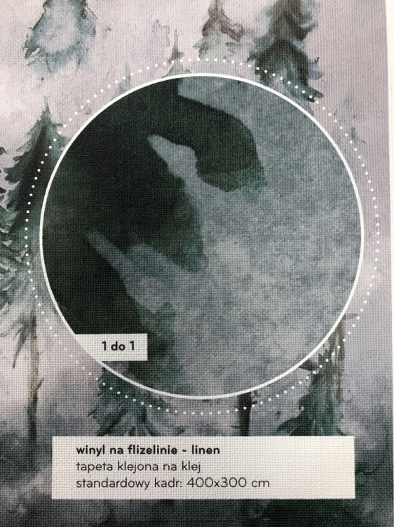 Świerkowy las we mgle fototapeta na wymiar górskie szczyty w stylu scandi