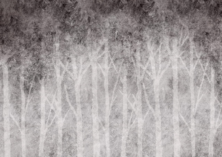 Szary las z jasnymi sylwetkami drzew - fototapeta na flizelinie na wymiar indywidualny