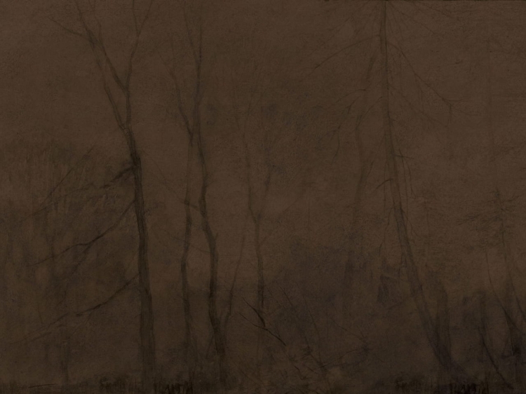 Foggy Day mglisty las z ciemnymi sylwetkami drzew - fototapeta na flizelinie - wzór ciemny