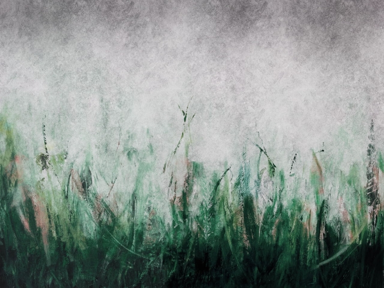 Łąka na betonowym tle fototapeta na wymiar indywidualny - zielona