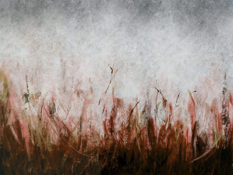 Łąka na betonowym tle fototapeta na wymiar indywidualny - rdzawa