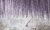 Art. 35 0745 07