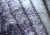 Wonderwall Wisteria Flowers kwiaty Glycynii na murze tapeta ścienna na fizelinie