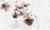 Art. 35 0480 00