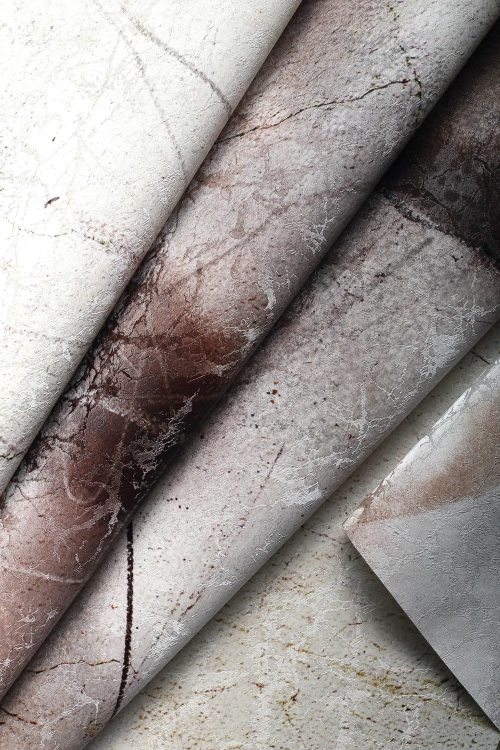 Protea Wonderwall subtelna fototapeta na wymiar z motywem roślinnym