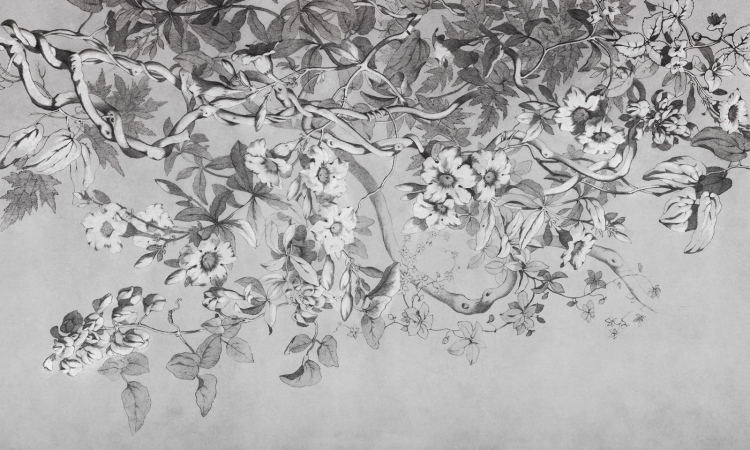 Szare gałęzie z kwiatami fototapeta na fizelinie jak obraz - wymiar indywidualny