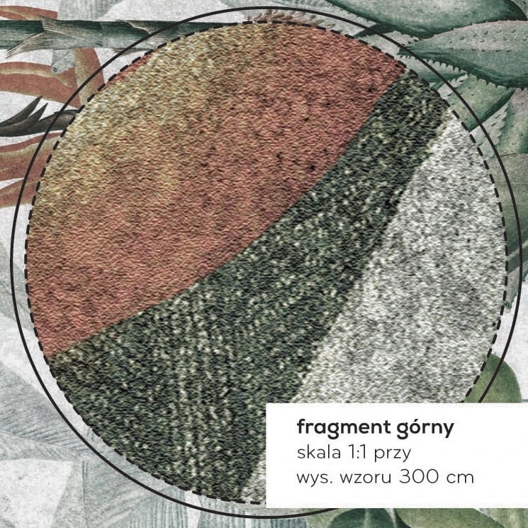 Rainforest fototapeta na wymiar indywidualny z motywem lasu tropikalnego i sekulentów