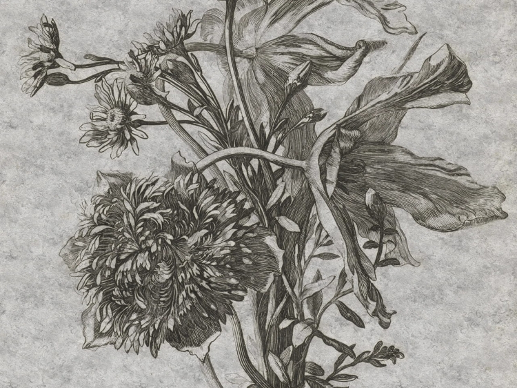 Ciemnoszare betonowe kwiaty fototapeta na fizelinie jak obraz - wymiar indywidualny