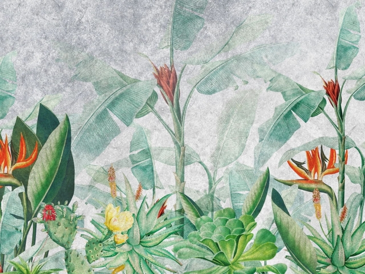 Rainforest Vivid fototapeta na wymiar indywidualny z motywem lasu tropikalnego i sekulentów