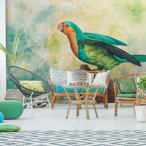 Sierra kolorowa fototapeta na wymiar indywidualny z papugą