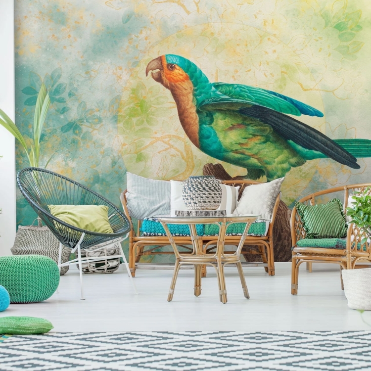 Sierra kolorowa fototapeta na wymiar indywidualny z papugą