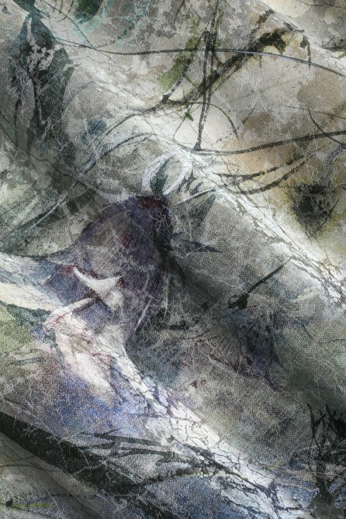 Dzwonki subtelna roślinna fototapeta polne kwiaty Wonderwall Studio Lea