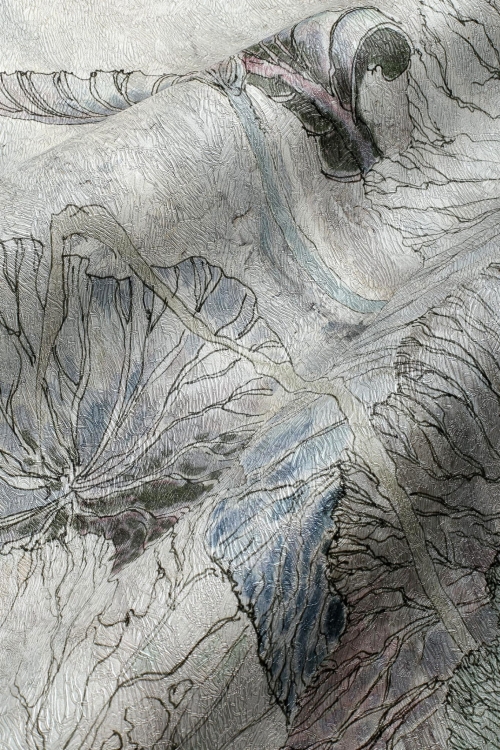 Lotos Wonderwall stylowa fototapeta na wymiar w liście lotosu