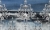 Neptunus-35-0497-00
