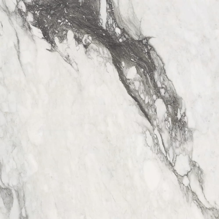 REX Étoile de Rex Renoir płyty wielkoformatowe