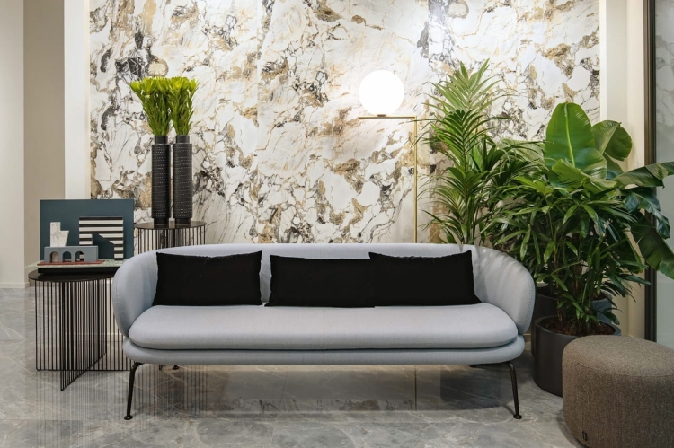 REX Étoile de Rex Symphonie płyty wielkoformatowe