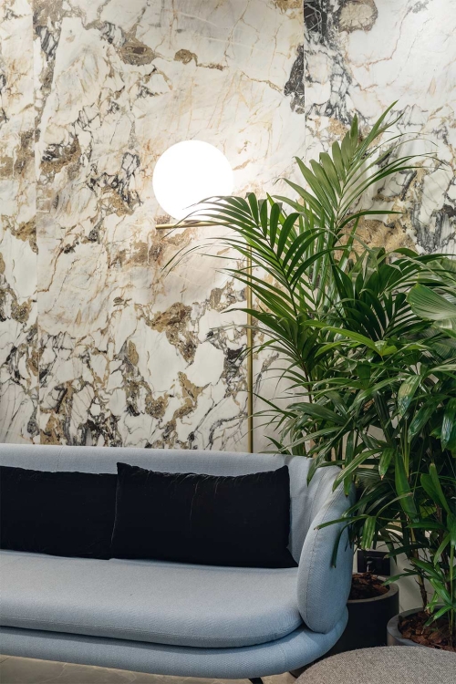 REX Étoile de Rex Symphonie płyty wielkoformatowe