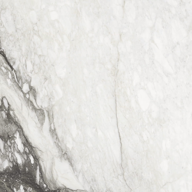 REX Étoile de Rex Renoir płyty wielkoformatowe