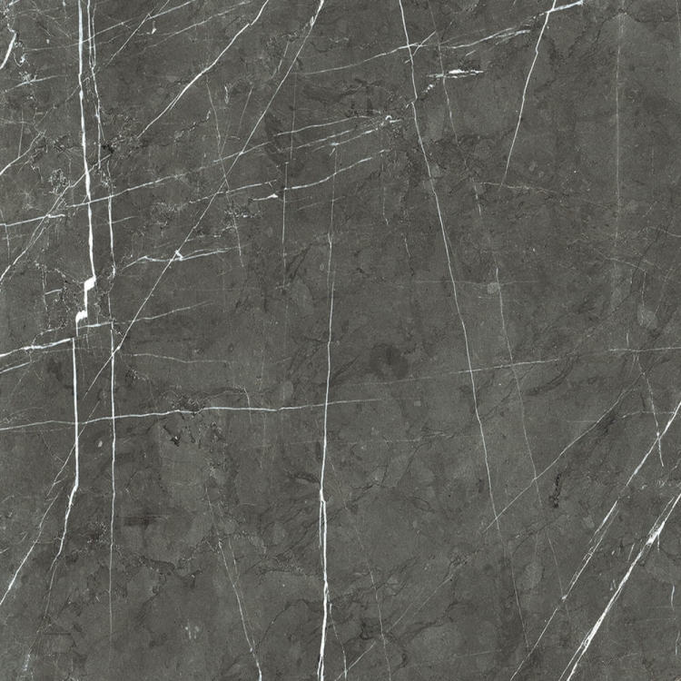 REX Prexious of Rex Charming Amber