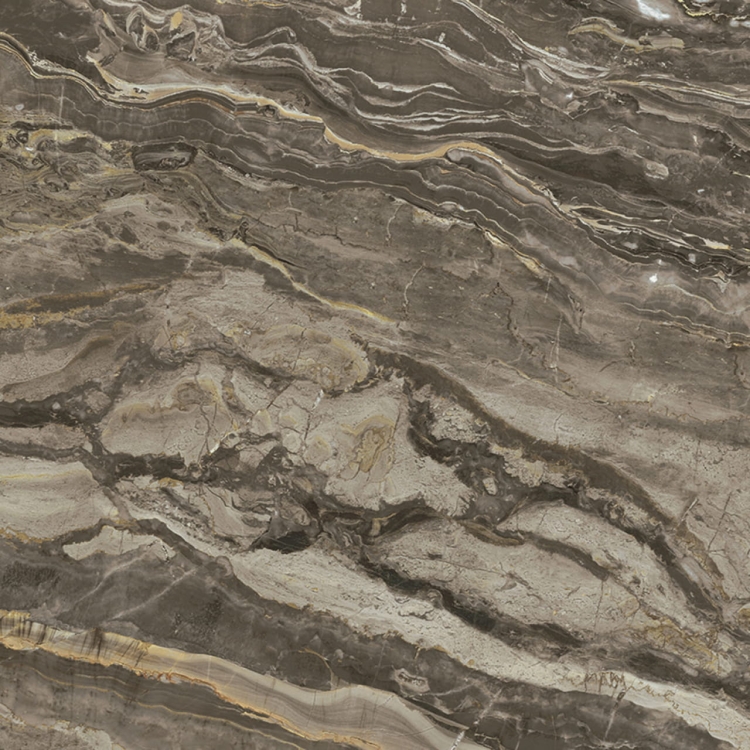 REX Prexious of Rex Dream Arabesque