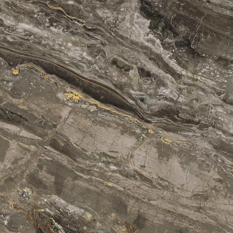 REX Prexious of Rex Dream Arabesque