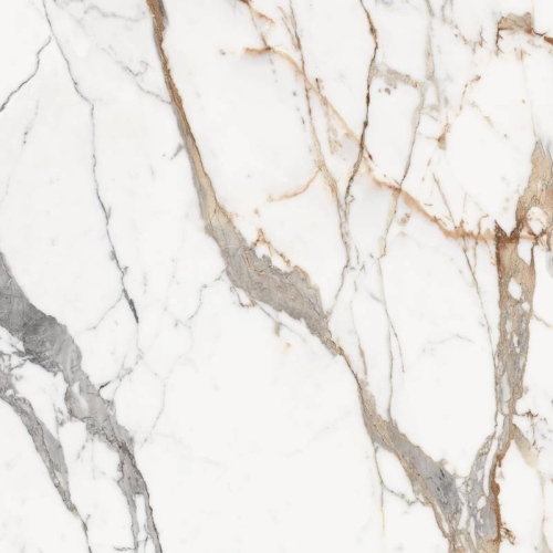 REX Les Origines de Rex Origines Or