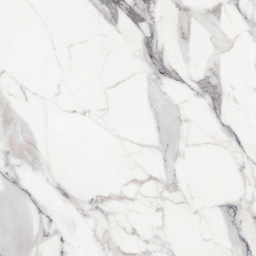 REX Les Origines de Rex Origines Argent