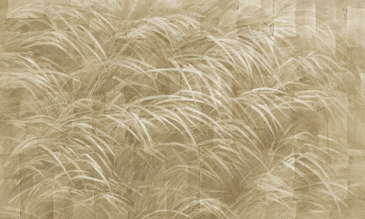 Pampa-35-0542-06