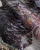 Wonderwall Satori kolorowa fototapeta na wymiar "Jezioro Marzeń"