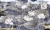 Cassiopeia-35-0722-03