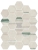 ZYX Matter Canvas Bone Green