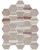 ZYX Matter Canvas Taupe Red